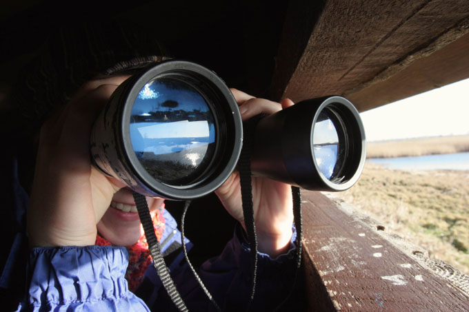 Vogelbeobachtung aus dem Hide - Foto: Santiago Engelhardt
