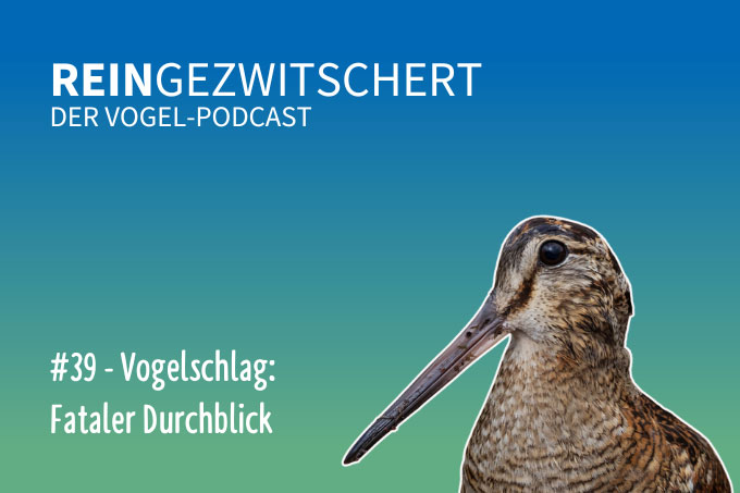 Der Podcast für alle, die auf Vögel fliegen